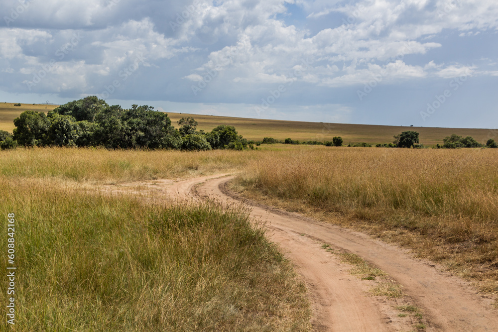 Tracks in Masai Mara National Reserve, Kenya
