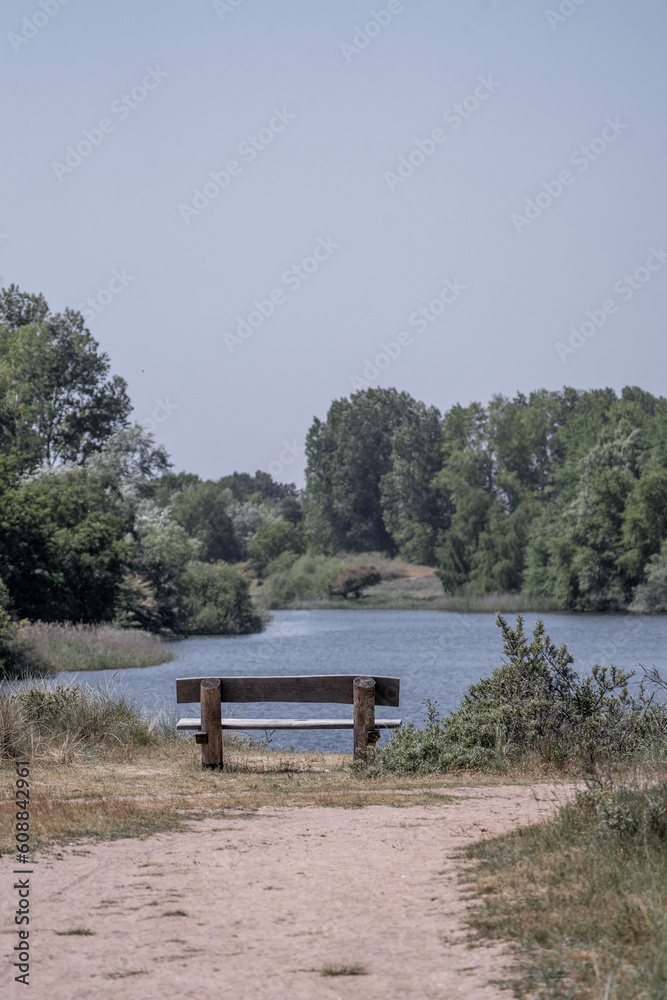 bench on a lake side