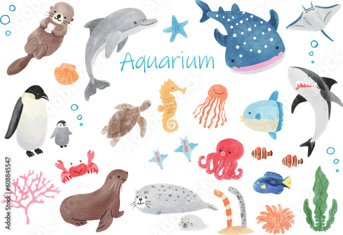 水族館にいるかわいい生き物たちのイラストセット　手書き水彩