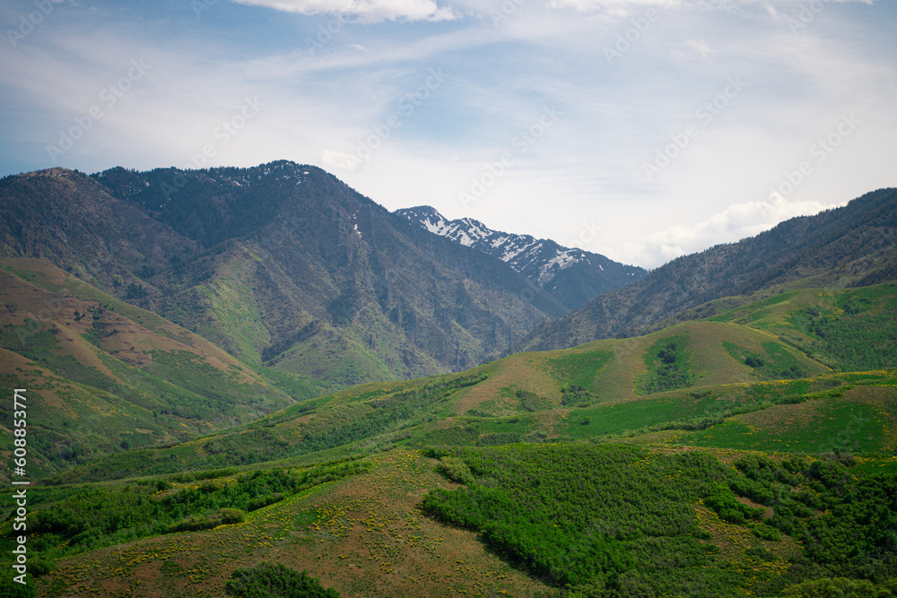 Fototapeta premium Mountains in the summer