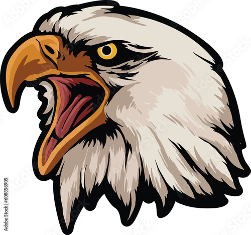 Eagle Face Illustration. Vector.