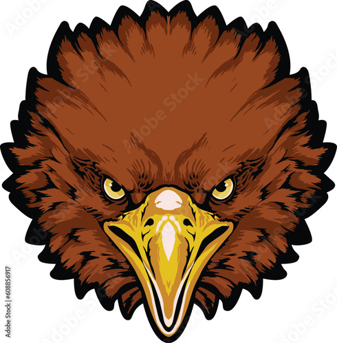 Eagle Face Illustration. Vector.