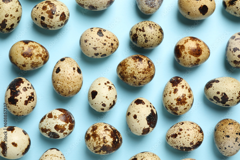 Speckled quail eggs on light blue background, flat lay