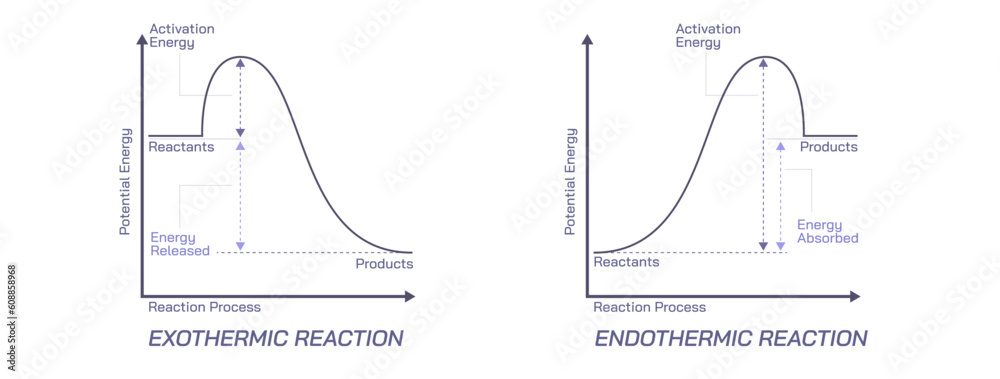 Endothermic And Exothermic Reaction Diagram Vector Illustration