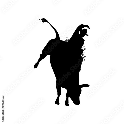 Rodeo 