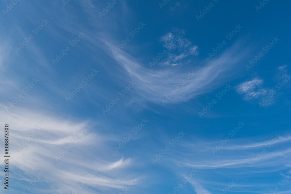 舞う夕空
舞う夕空