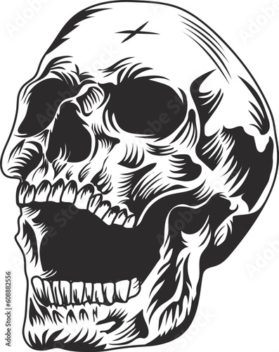 human skull vector