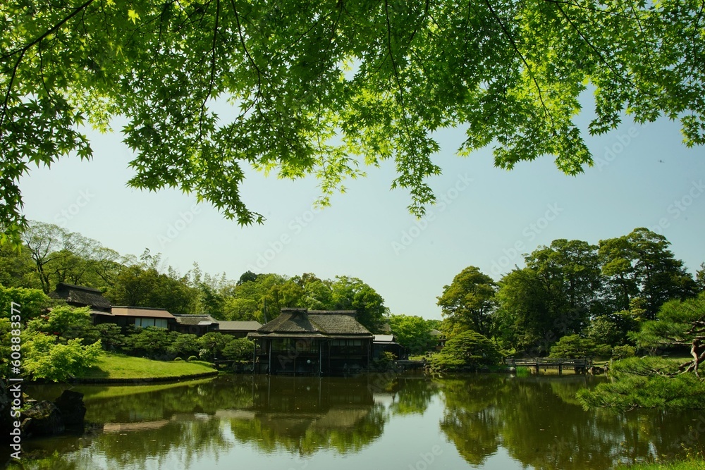初夏の彦根城 玄宮園  (2022年4月）