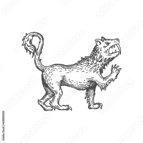 Werewolf or lycan, man who turns into wolf at night, mythical character. Vector mythology beast, wolf angry animal, mythic werewolf sketch