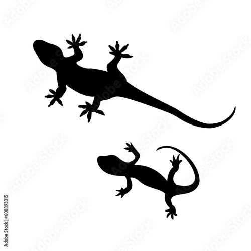 silhouette of a lizard © rizki