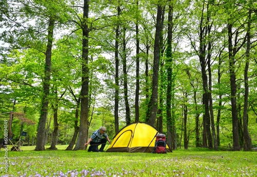 新緑の湖畔の森・テントを設営する男性