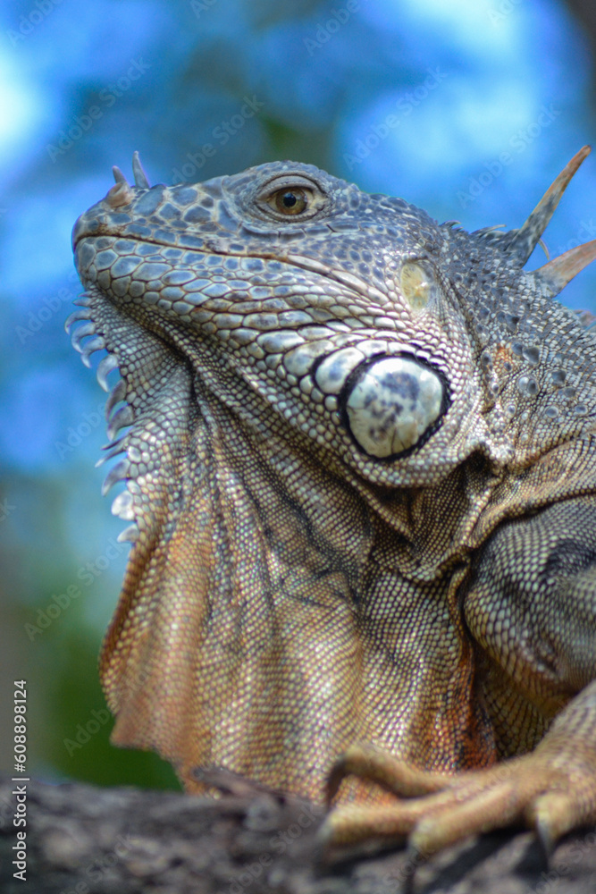 Obraz premium Photos of various places in Mexico