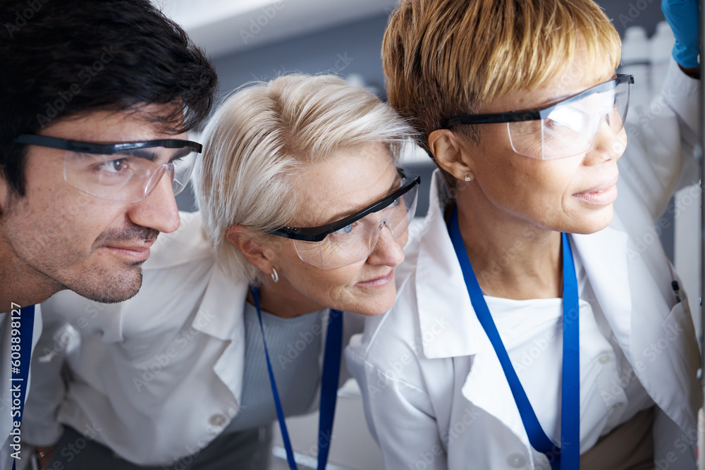 Scientist, lab testing and glasses of science team and research with safety and data analysis. Vaccine review, teamwork and staff working on healthcare training and biotechnology productivity Scientist, lab testing and glasses of science team and research with safety and data analysis. Vaccine review, teamwork and staff working on healthcare training and biotechnology productivity