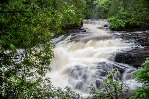 The chute at Egan Chutes Provincial Park in Ontario rushes its way through a forested river. photo
