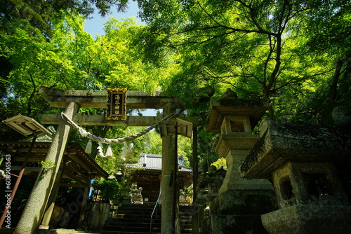 初夏の湯谷神社 （滋賀県米原市, 2022年5月）