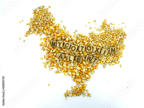 Defend Livestock Against Mycotoxins. Toxin Care, Mycotoxin Alert in Animal Farm Feed. Special Image for Product and presentation slide designs