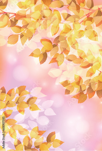 紅葉　もみじ　秋　背景