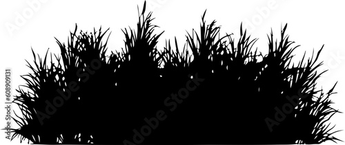 Lawn plant grass silhouette