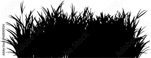 Lawn plant grass silhouette