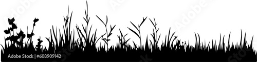 Lawn plant grass silhouette