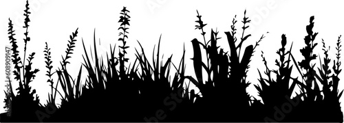 Lawn plant grass silhouette