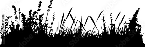 Lawn plant grass silhouette © ABC Vector