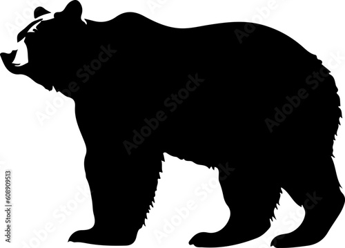 Bear Silhouette Illustration