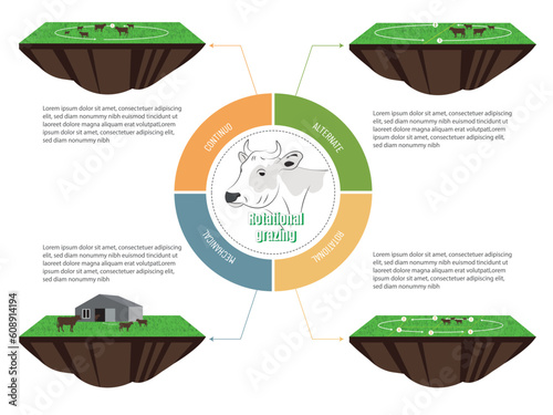 Infographic on the different types of rotational grazing.diagram of a piece of pasture with cattle and the way it is rotated.