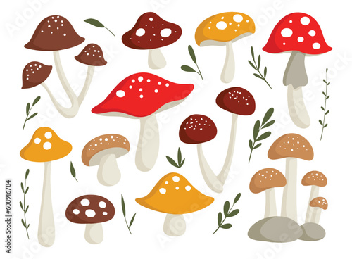 Set of flat style doodle illustration of mushroom design element