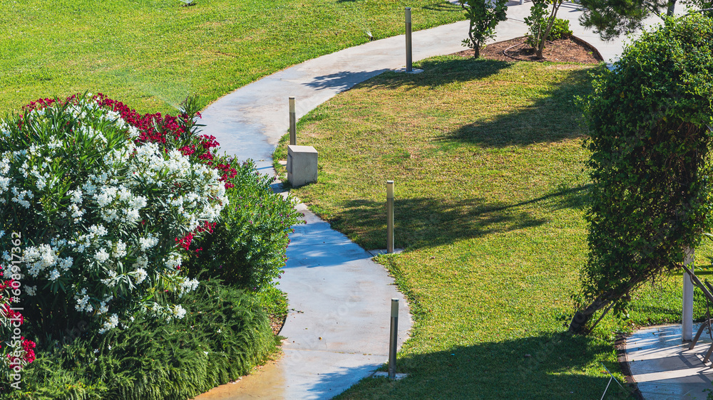 garden in the park
