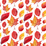 Seamless pattern with hand painted watercolor autumn leaves. Autumn collection,Perfect for your project,wedding,greeting card,photos,blogs,wallpaper,pattern,texture and more