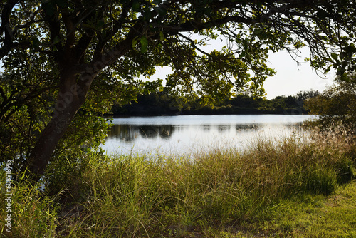 Backlit wide shot South Pine river Bald Hills Queensland Australia early morning sunlight looking east 