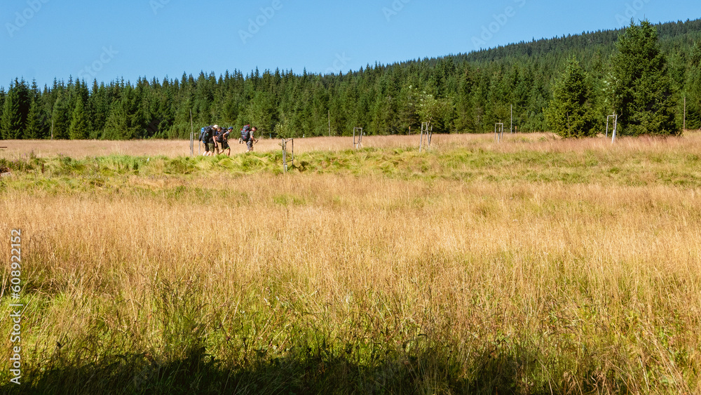 Izera Mountain, Poland