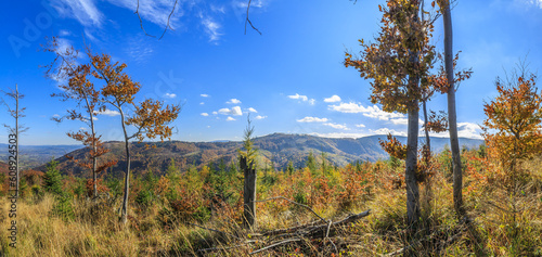Fototapeta Naklejka Na Ścianę i Meble -  Panorama of the side range of the Barania Góra massif. From the right, the peaks: Magurka Radziechowska, Murońka and Ostre in the Silesian Beskids (Poland) on a sunny autumn day.