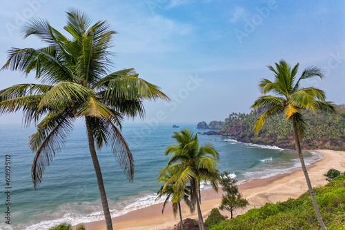 Fototapeta Naklejka Na Ścianę i Meble -  Aerial top view on tropical beach with green palm trees under sunlight Drone view in Goa