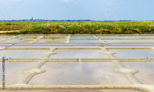 salt marsh in France- Guerande- Loire Atlantique photo