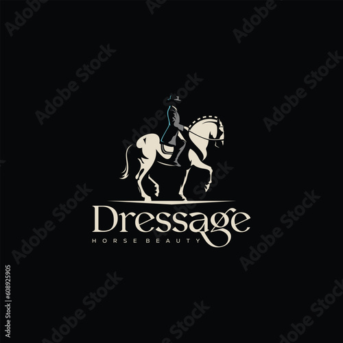 Dressage rider on a horse executing the half pass.