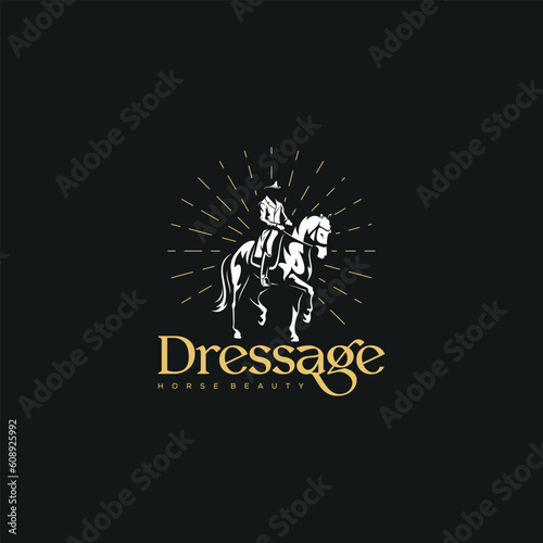 Dressage rider on a horse executing the half pass.