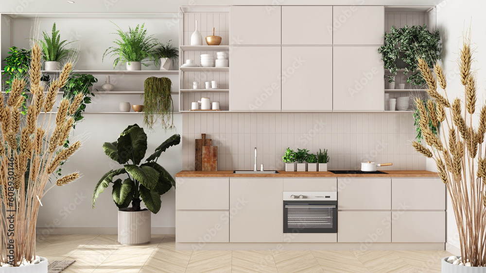 Potted straws with pebbles, dry plants, ornament, ears, sheaf, branch in vase over minimal white kitchen with many houseplants, architect interior design, urban jungle Potted straws with pebbles, dry plants, ornament, ears, sheaf, branch in vase over minimal white kitchen with many houseplants, architect interior design, urban jungle
