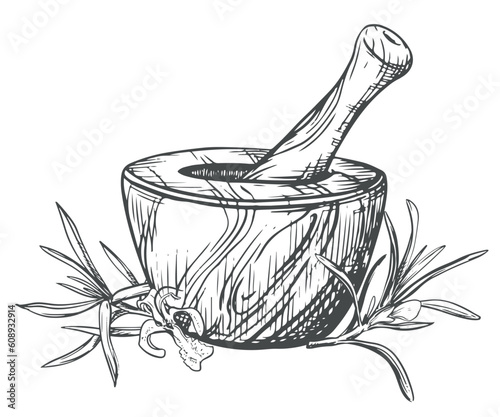 Rosemary and a wooden mortar for crushing herbs. Vector illustration of aromatic herbs, spices. Hand sketch in engraving technique. Separate design elements in a rustic style.
