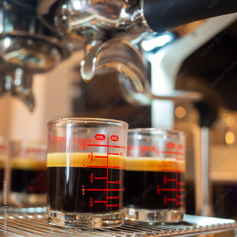 2 Cup Coffee Machine for Small yet Delighting Coffee Experience