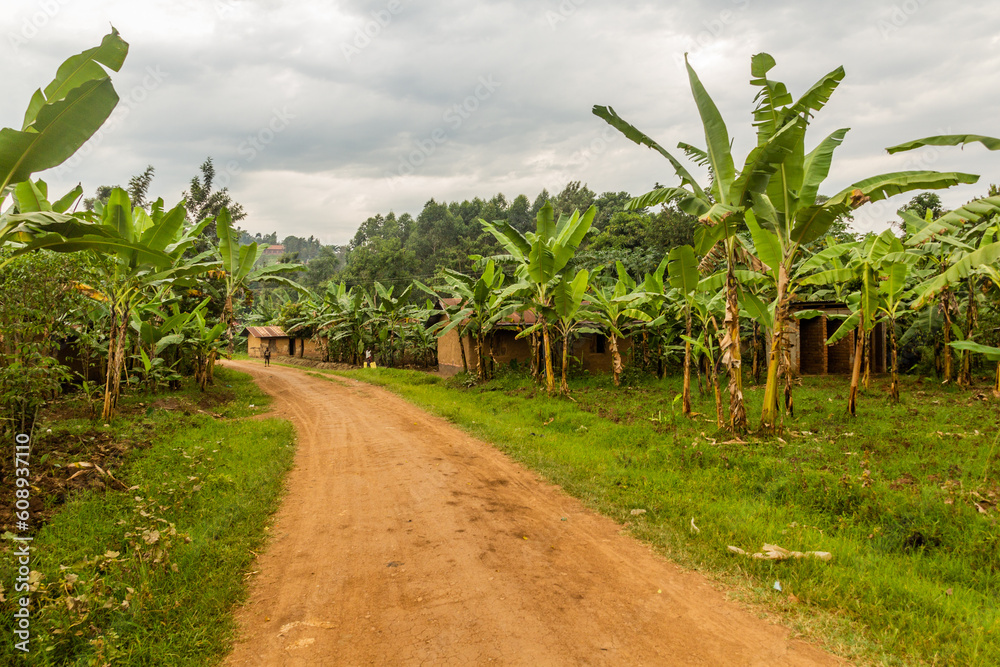 Road in Budadiri village, eastern Uganda