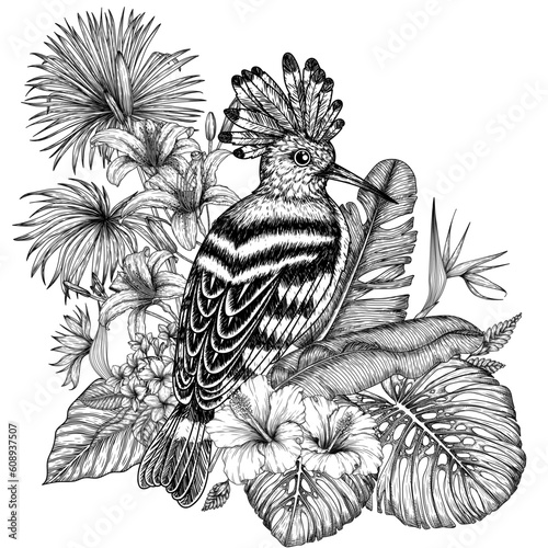 Vector illustration of a hoopoe bird in a tropical garden in an engraving style. Palm and banana leaves, liviston, plumeria, zantedeschia, monstera, strelitzia, hibiscus