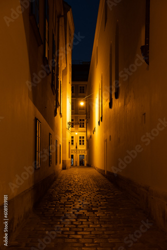 narrow street in the town at night near Vienna, Austria
