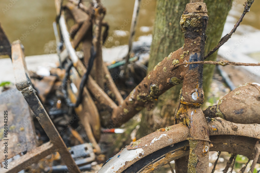 Bike in Amsterdam completely covered with rust. Closeup shot of rusty bicykle leaning over a tree next to canal. High quality photo Bike in Amsterdam completely covered with rust. Closeup shot of rusty bicykle leaning over a tree next to canal. High quality photo