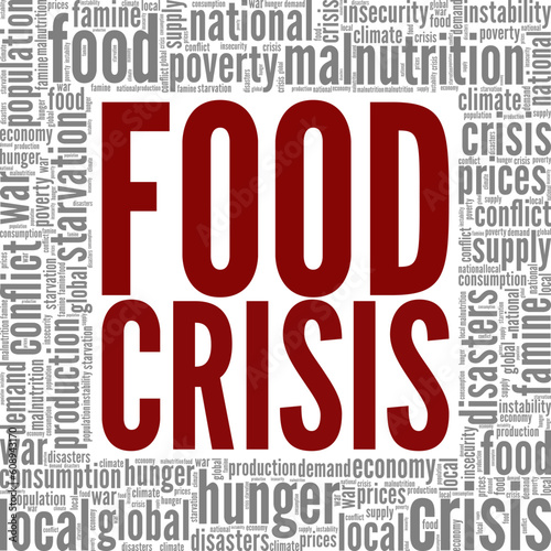Food Crisis word cloud conceptual design isolated on white background.
