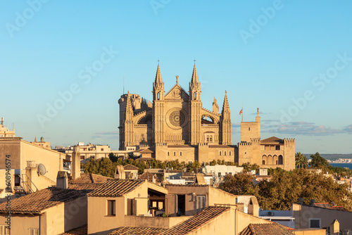 Palma de Mallorca Cathedral (side view) next to the Almudaina Palace (Balearic Islands, Spain) photo
