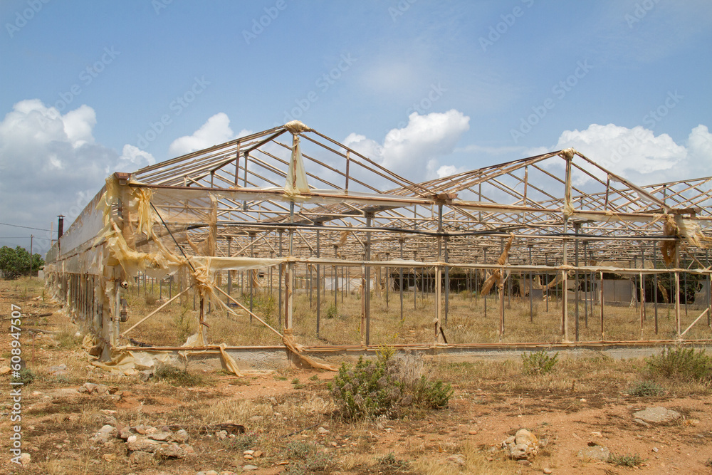 Dilapidated greenhouse: only the skeleton is still standing Dilapidated greenhouse: only the skeleton is still standing