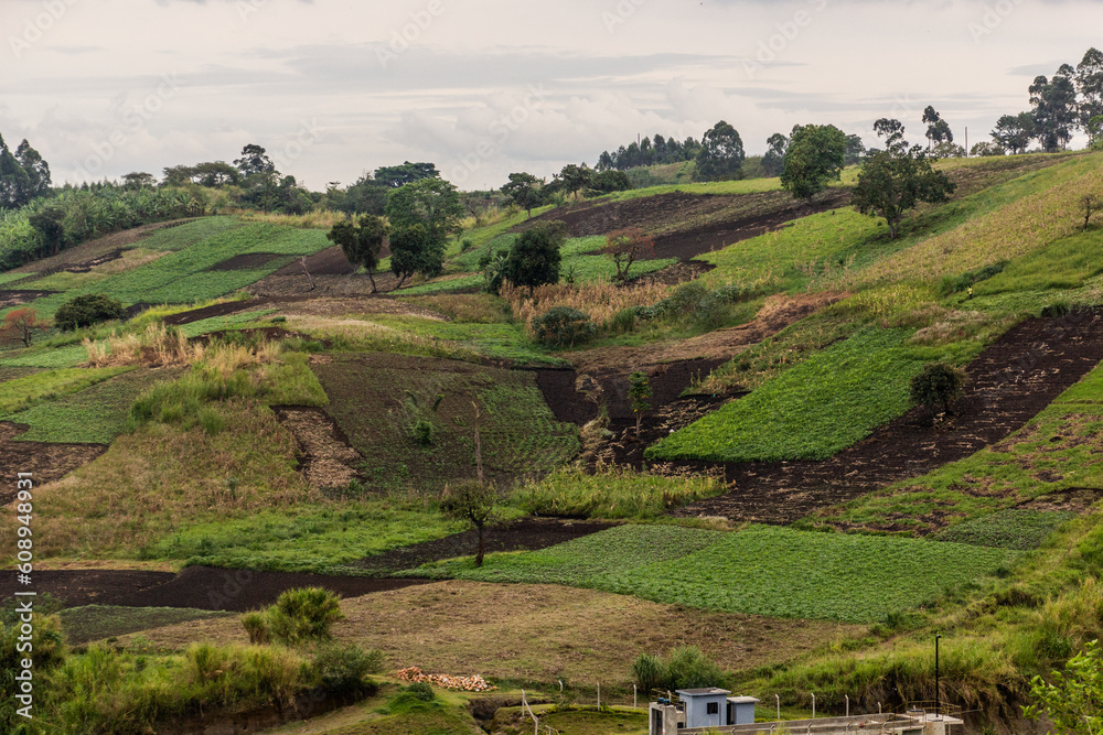 Lush rural landscape of the crater lakes region near Fort Portal, Uganda