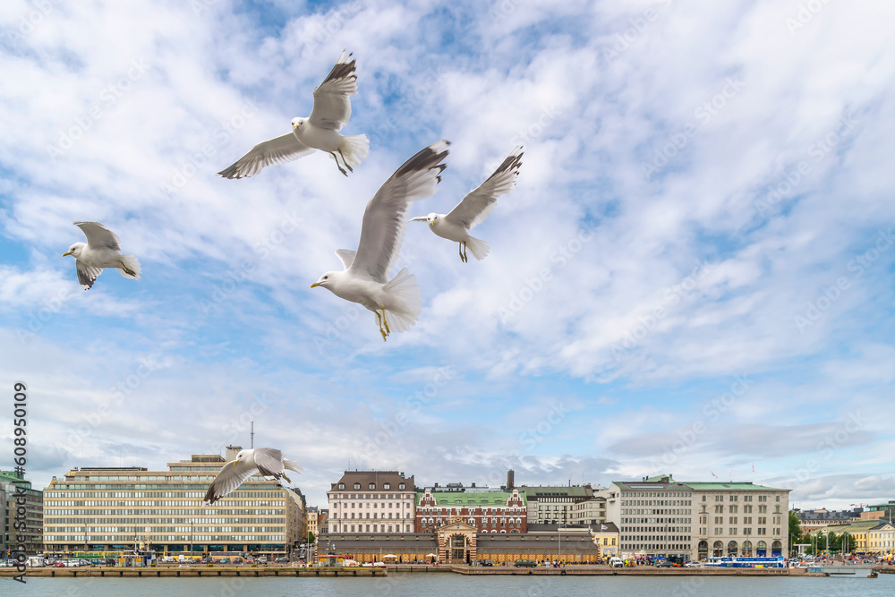 A group of seagulls on the blue sky of central Helsinki, Finland A group of seagulls on the blue sky of central Helsinki, Finland